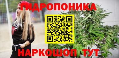 гашик Жуковский